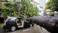 طوفان ارل در مکزیک قربانی گرفت+عکس