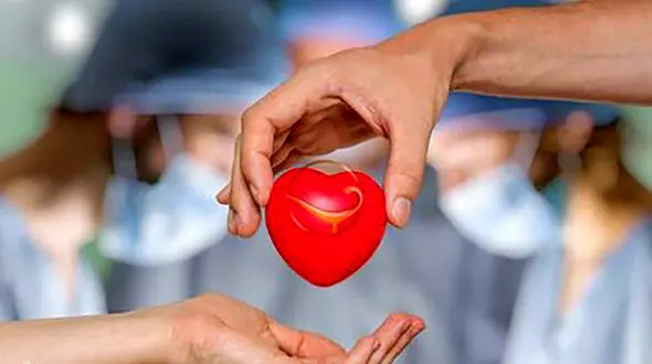 مرگ تلخ صادق حسینی وردنجانی در چهارمحال و بختیاری / همه برای جوان فداکار گریستند