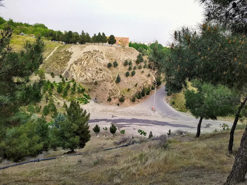مسیر آسفالته پارک جنگلی کوهسار