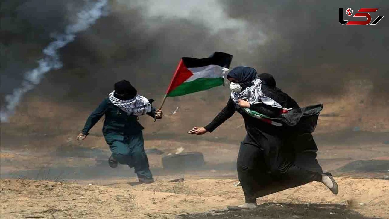 مجری آمریکایی: اتفاقاتی که برای مردم فلسطین می‌افتد مشمئزکننده است 