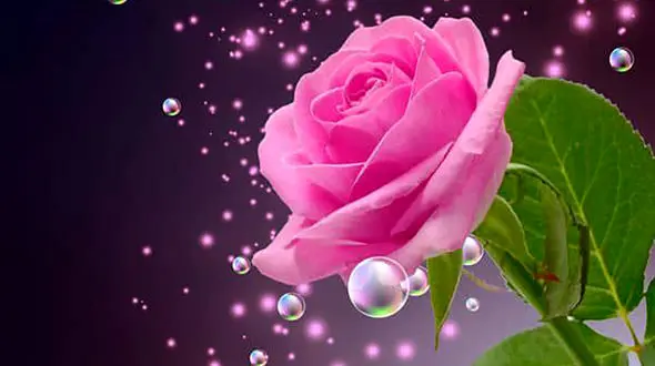 فال ابجد 19 فروردین + فیلم