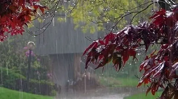 تشدید بارش باران از هفته آینده/ورود سامانه بارشی جدید از جمعه