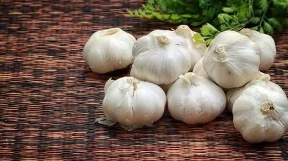 سیرخام  یا سیر پخته کدام مفیدتر است؟