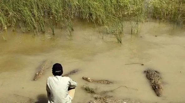 کوچ 5 روستا به محل زندگی گاندوها برای دسترسی به آب / بیمارستان چابهار گفت امیرحمزه میمیرد، بردند کراچی 