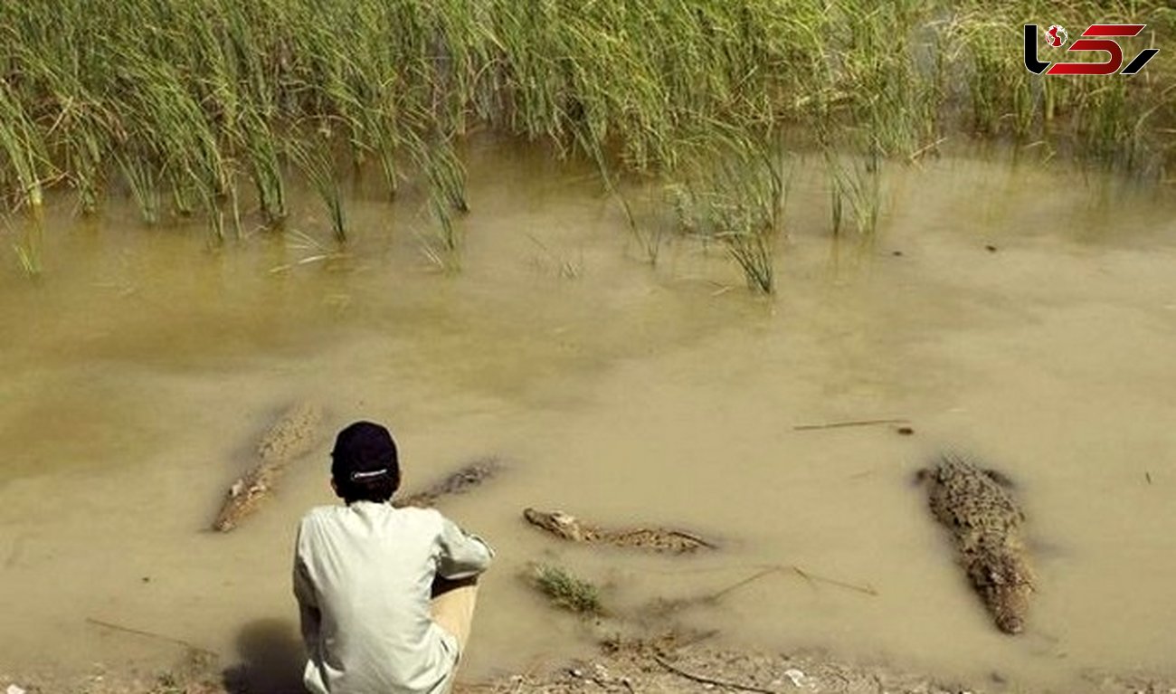 کوچ 5 روستا به محل زندگی گاندوها برای دسترسی به آب / بیمارستان چابهار گفت امیرحمزه میمیرد، بردند کراچی 