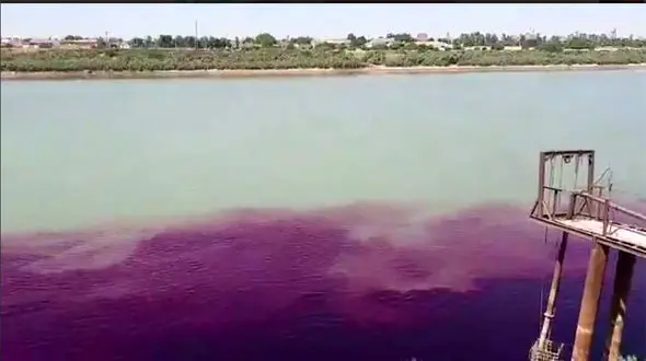 آلودگی صنعتی رودخانه کارون را بنفش کرد + فیلم