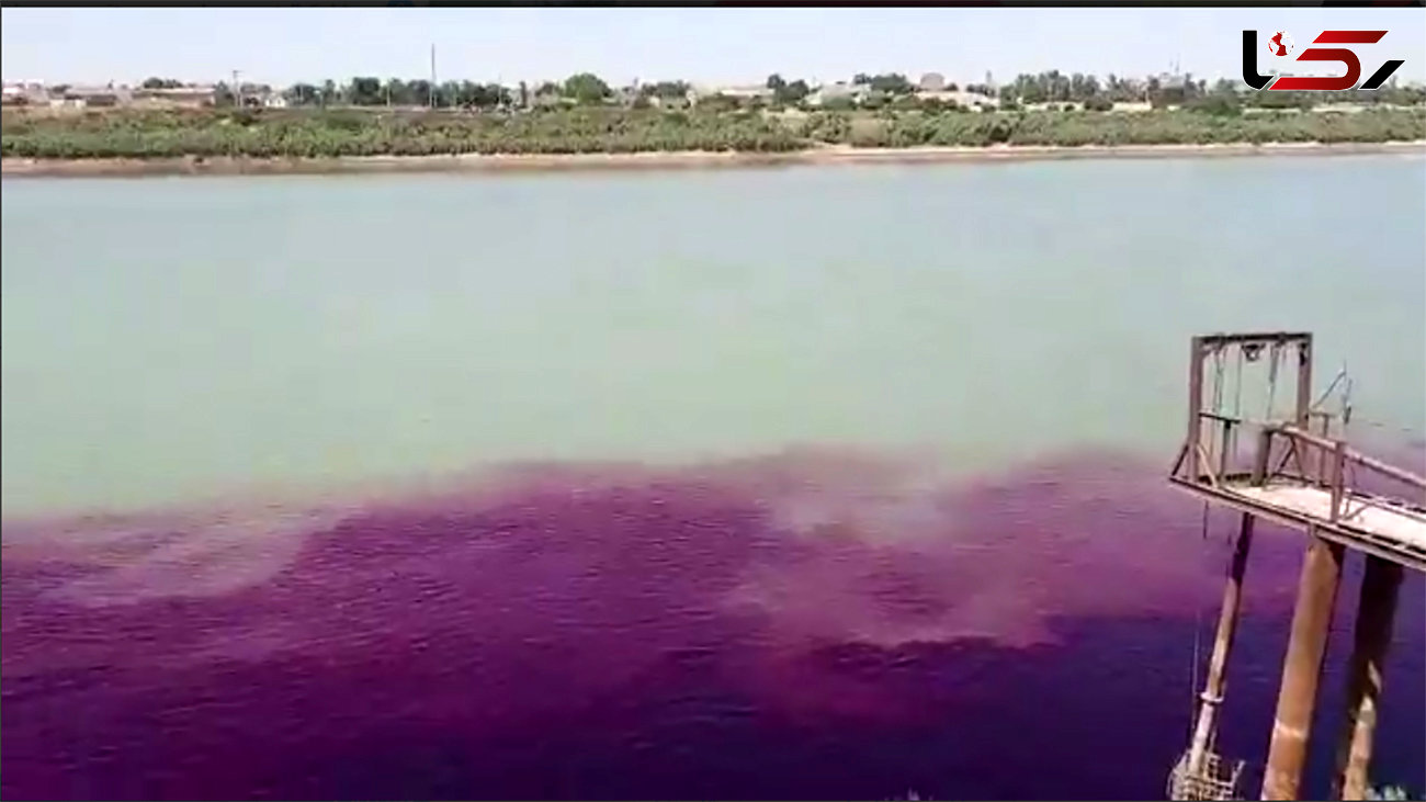 آلودگی صنعتی رودخانه کارون را بنفش کرد + فیلم