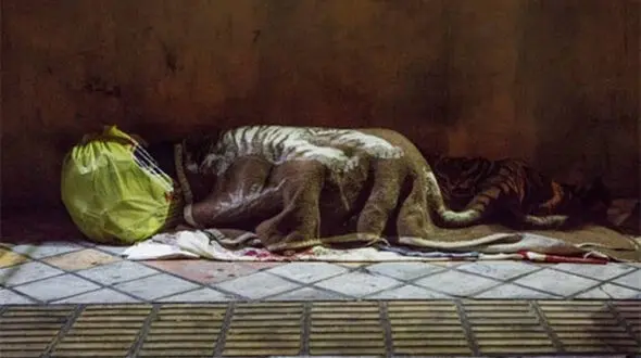 زندگی زیرزمینی زنان کارتن خواب  + فیلم
