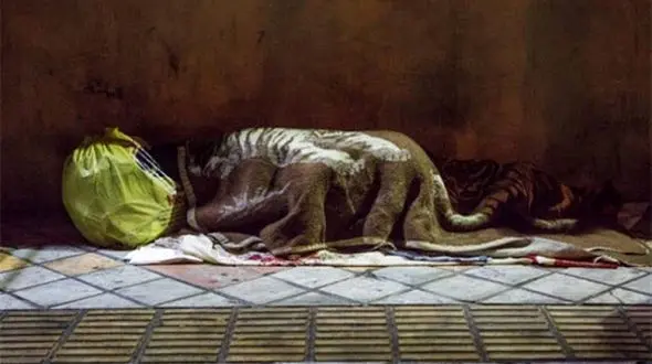 زندگی زیرزمینی زنان کارتن خواب  + فیلم