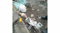 انتشار عکس  جنین 2 قلوها در زباله های رشت / خیلی تکاندهنده