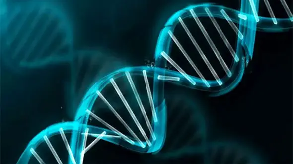 از ژنِ پدر، تو را چه حاصل | تأثیر وراثت در رشد اخلاقی فرزند