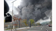 آتش سوزی مرگبار در مرکز خرید کره جنوبی / 4 نفر ناپدید شدند