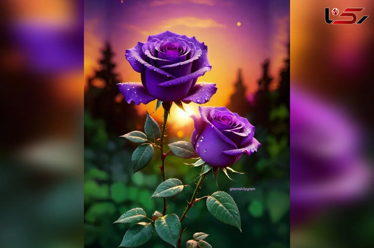 فال ابجد 19 شهریور