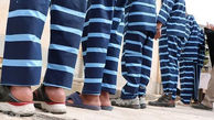 دستگیری ۱۴ سارق حرفه ای  در عملیات های هماهنگ پلیس ایذه