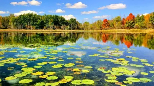 آشنایی با زیباترین تالاب های شمال ایران + عکس