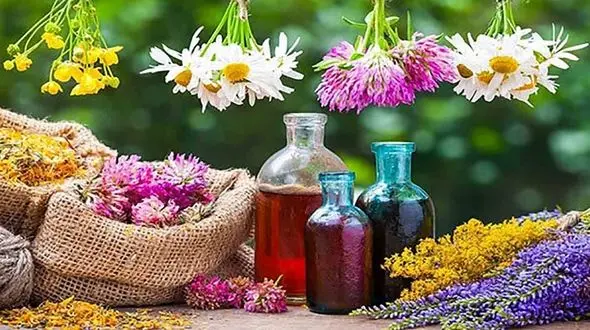 جایگزین داروهای شیمیایی 