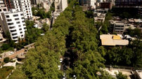 مستند چنار های خیابان ولیعصر تهران که با سانسور در تلویزیون پخش شد+فیلم و عکس