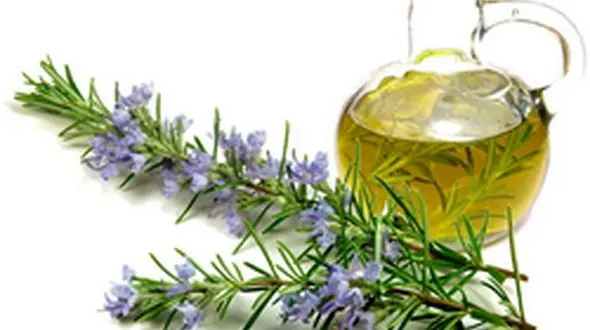  اعصاب تان را با این گیاهان آرام کنید