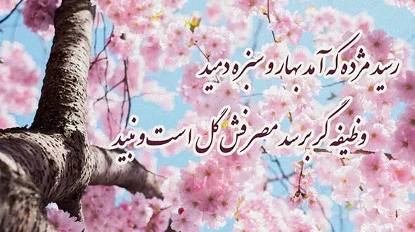 فال حافظ امروز / 6 تیر ماه با تفسیر دقیق + فیلم