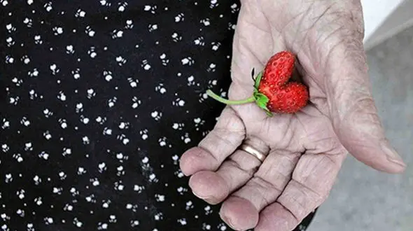 ضرب و شتم پیرزن در خانه روستایی