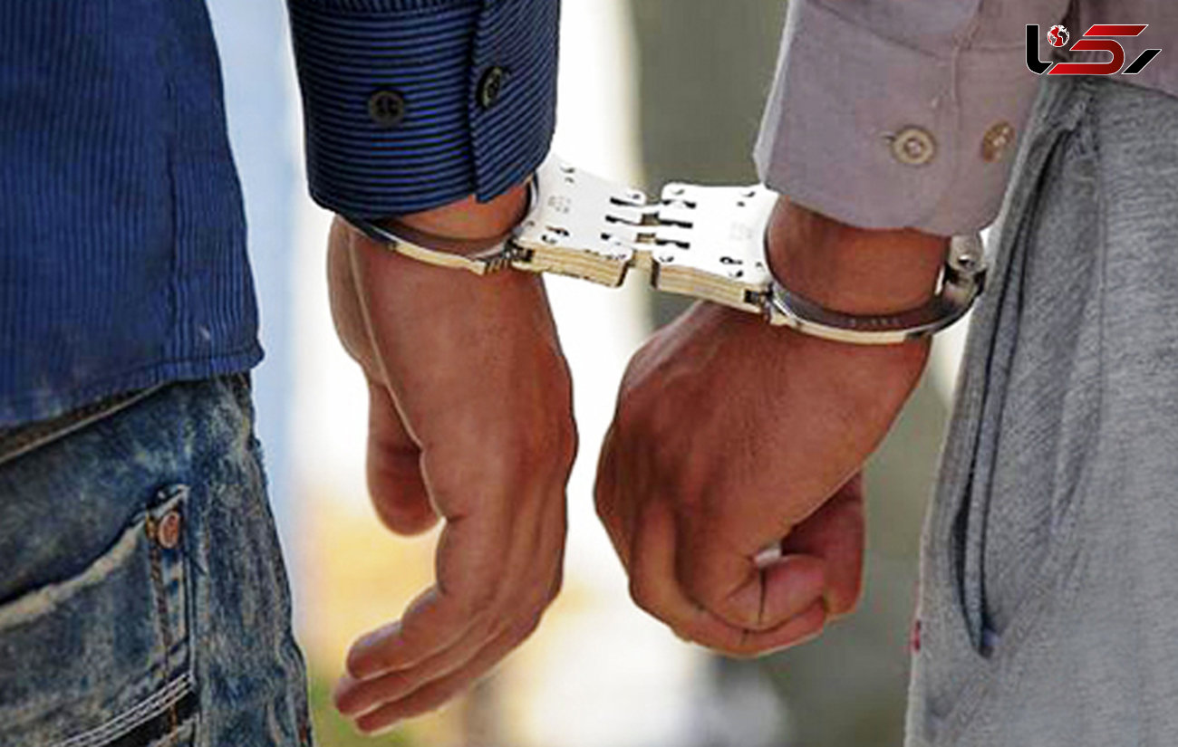 دستگیری 20 متخلف حاصل طرح ارتقاء امنیت اجتماعی  در" داراب"