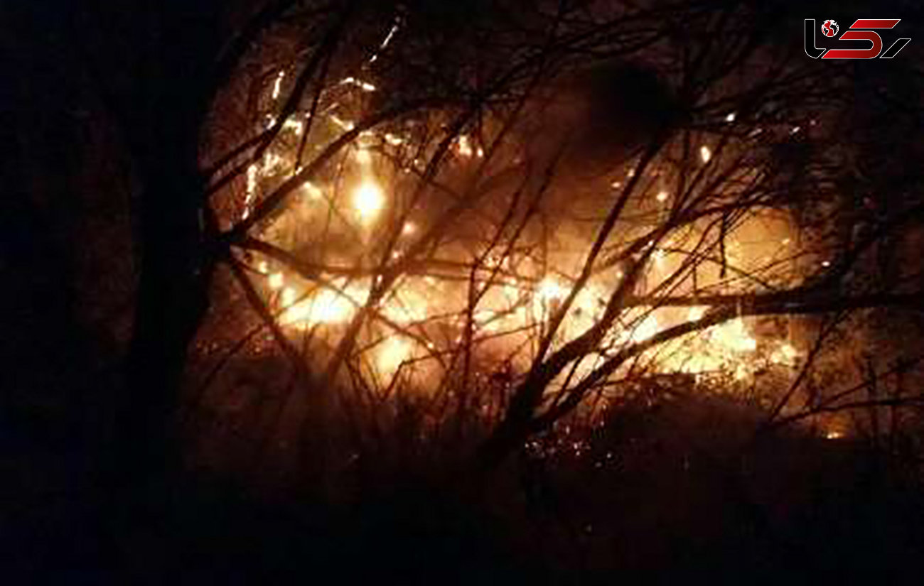 آتش سوزی در جنگل های اندیمشک/ درخواست بسیج عمومی برای مهار آتش