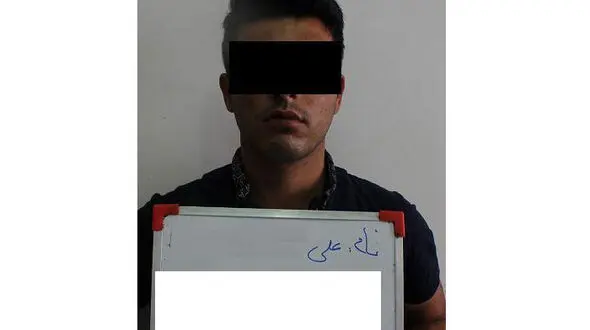 موبایل قاپ پارک ملت دستگیر شد+عکس متهم