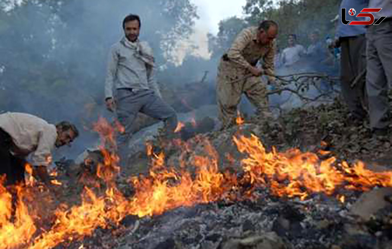 آتش سوزی در عرصه منابع طبیعی مشکل اصلی گلستان است