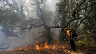 تلاش برای مهار حریق در جنگل‌های اسپانیا ادامه دارد
