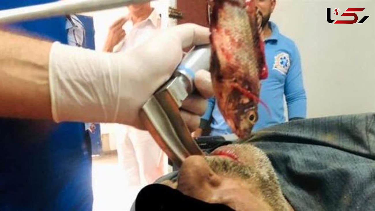 حمله مرگبار ماهی به ماهیگیر مصری + عکس