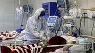 دولت صندوق خسارت ناشی از ابتلا به کرونا ایجاد کند/ مسئولیت مدنی و کیفری شهروندان در صورت انتقال بیماری کرونا