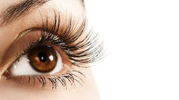 روغن های گیاهی که مژه هایتان را تقویت می کند