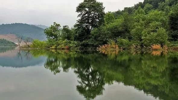 زیبایی های چشم نواز پارک جنگلی آذررود 