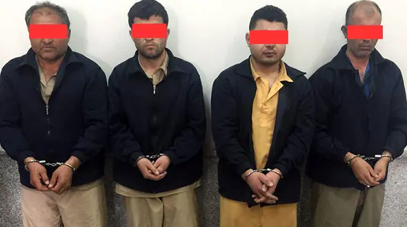 2 جنایت در نقشه گنج طلایی 4 گانگستر