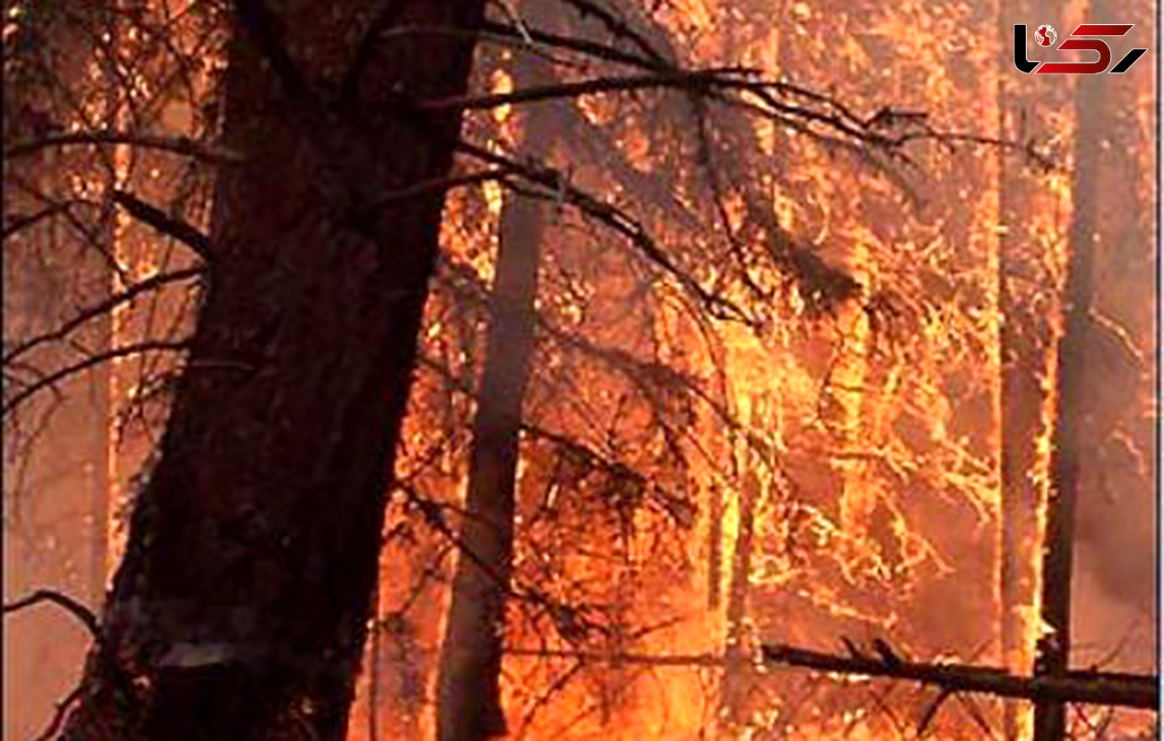 آتش سوزی دوباره در جنگل های باغملک/دوهواپیمای مهار آتش به محل اعزام شد