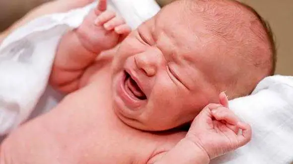 شیوه عجیب برای دزدیدن نوزاد از بیمارستان چابهار/ بچه دزدها همه را خواب کردند