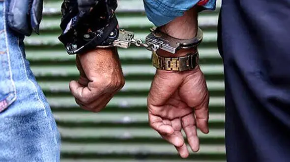 بازداشت کلاهبرداران حرفه ای در بجنورد / آنها میلیاردر بودند