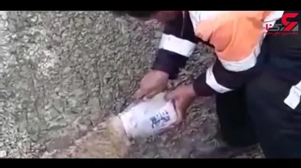 نجات جان یک گرگ توسط راننده لودر در کهگیلویه و بویراحمد+فیلم