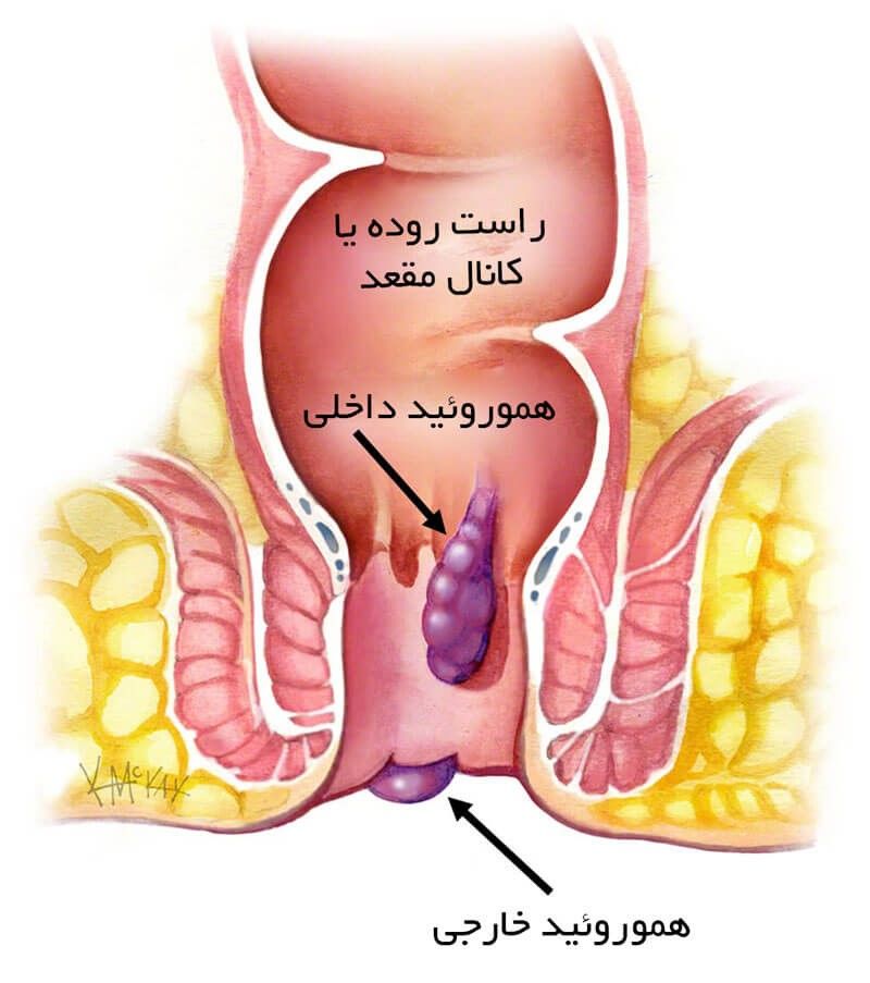 راست روده یا کانال مقعد