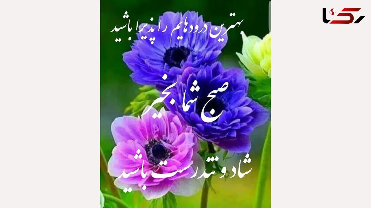 فال روزانه شخصی / 5 مرداد ماه + فیلم