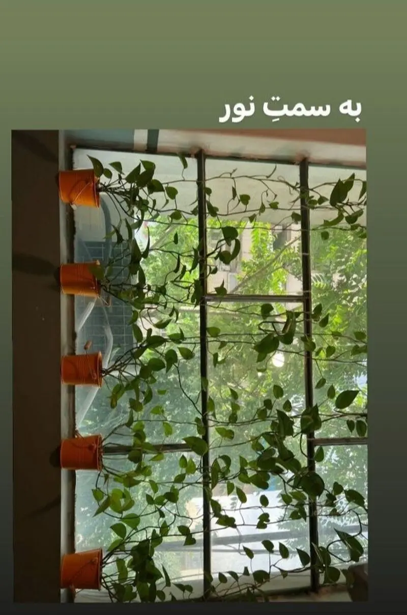 گلدان
