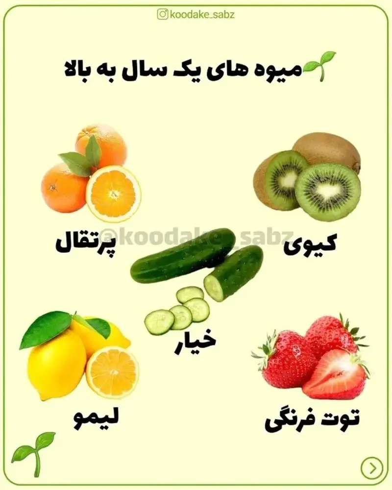 میوه های یک سال به یالا