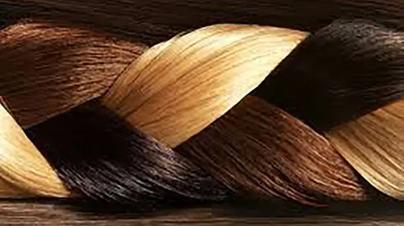 با این 6 خوراکی موهای سالمی خواهید داشت 