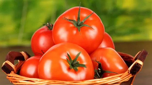  گوجه فرنگی 50 درصد ارزان شد
