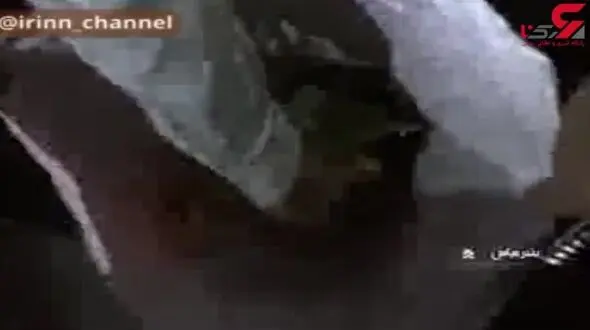 دستگیری سارقان مسلح طلافروشی بندرعباس 