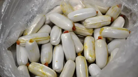 پلیس ناجی جان قاچاقچی تریاک شد / بسته های تریاک بلعیده شده از معده اش خارج شد