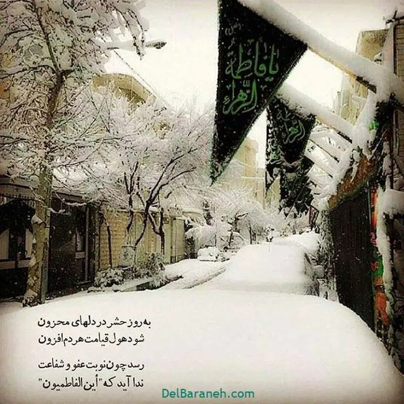 گالری عکس فاطمیه