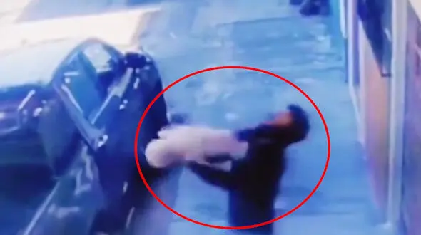 فیلم دیدنی از  نجات جان سگ در حال سقوط مرگبار !
