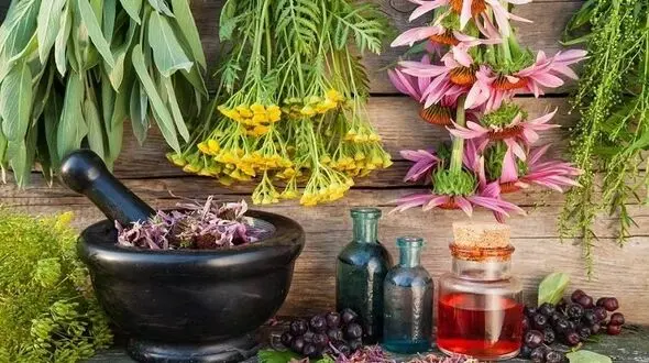 مصون ماندن از پوکی استخوان با مصرف مسکن های گیاهی