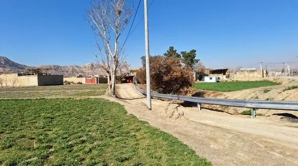 کاشت هشت هزار اصله درخت و درختچه مقاوم به کم‌آبی در ناژوان